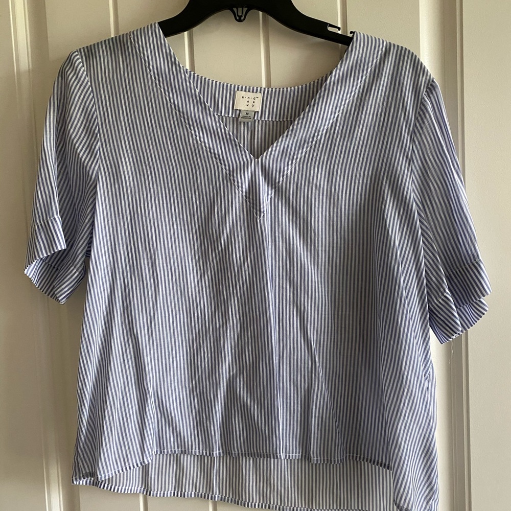 Blue and White Blouse